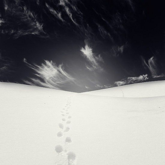 Natalia Lutoshina | Москва