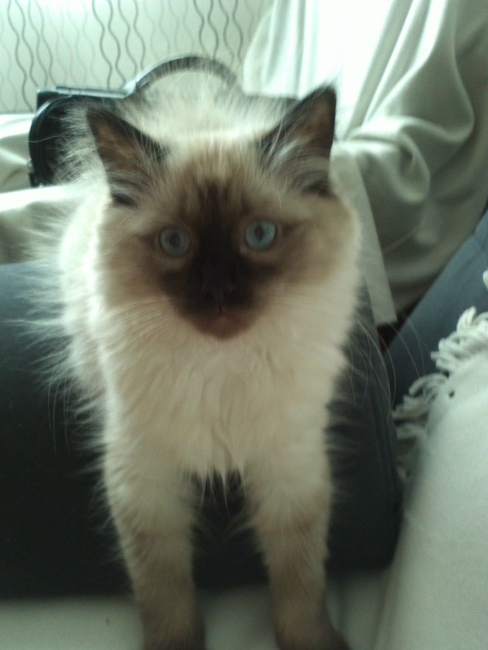 Вадим Дегаев | Екатеринбург