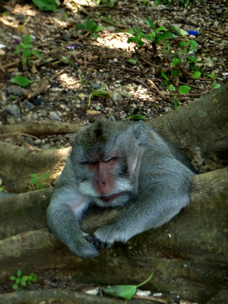 Марина Ольховка | 