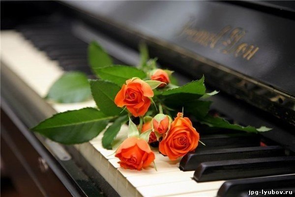 Игорь Ермолаев CAT | Киев