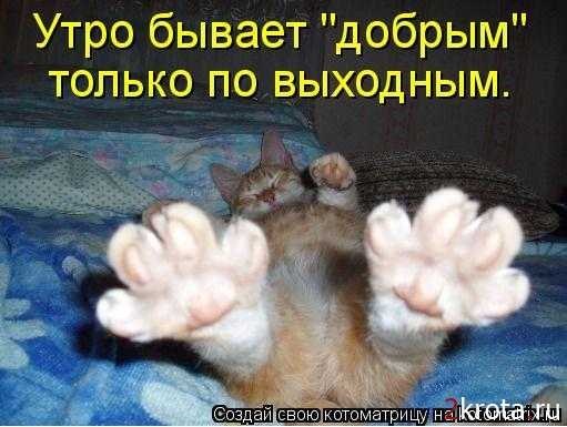 Александр Скрипка | Санкт-Петербург