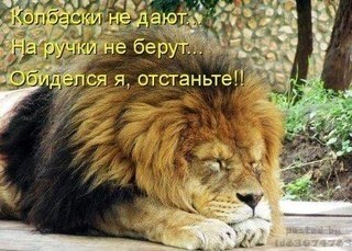 №19, Сергей Баев №19, Сергей Баев