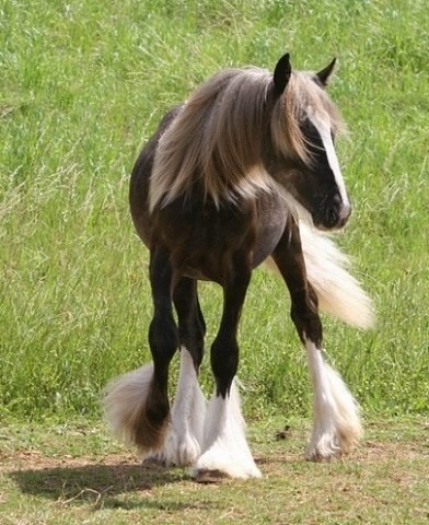 Наталья Филатова | Великий Новгород