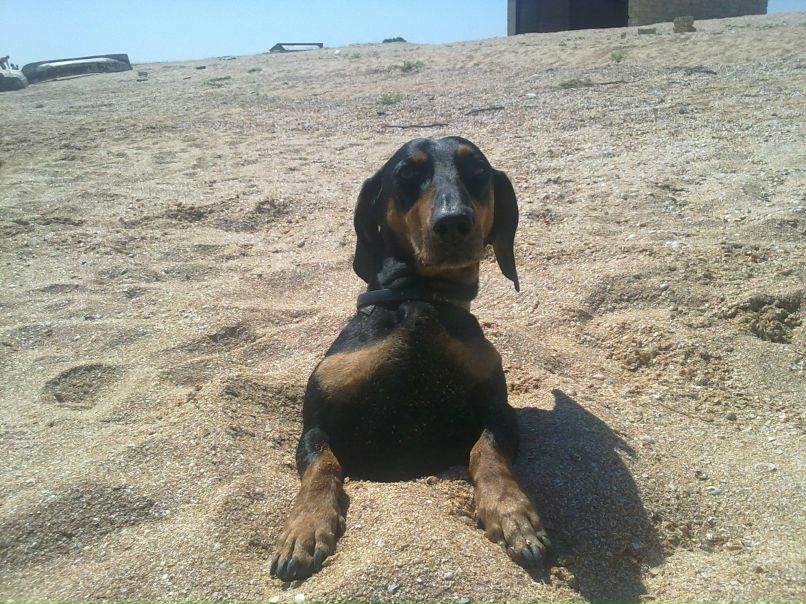 Женя Зуев | Кривой Рог