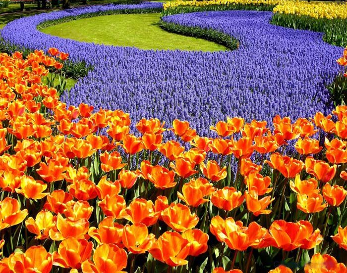 Лия Хасанова | Уфа