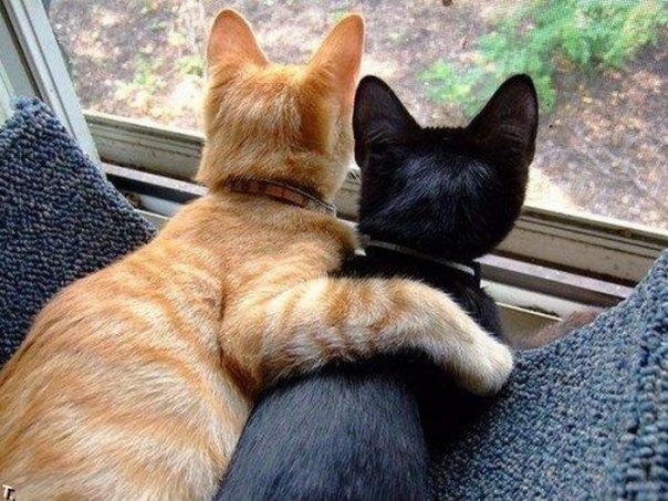 №102, Мария Фролова №102, Мария Фролова