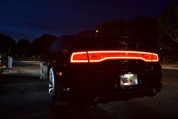 Александр Алехин | Калининград