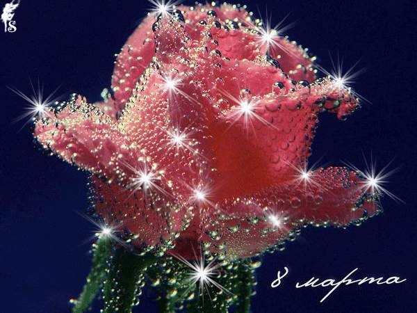 Екатерина Зайцева | Санкт-Петербург