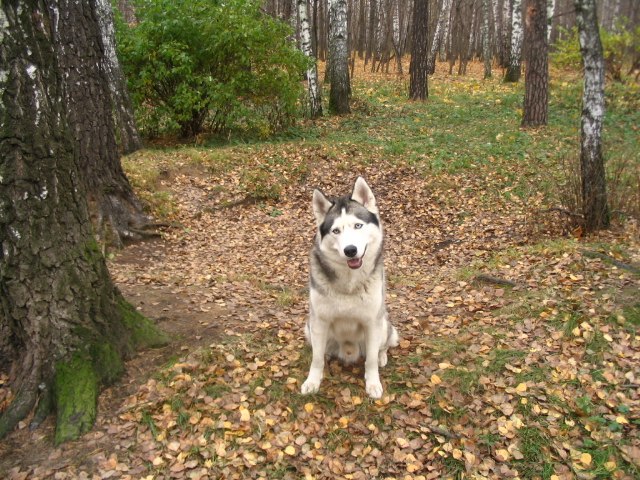 Виктор Медведев | Москва