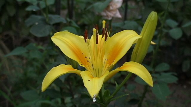 Александр Абросимов | Запорожье