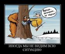 Елена Михалёва, Москва, Россия, 28.05