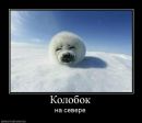 №15 Ирина Сунфу : профиль, фото, статус - ВКонтакте