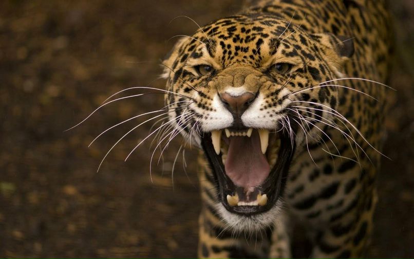 Наталья Касимова | Москва