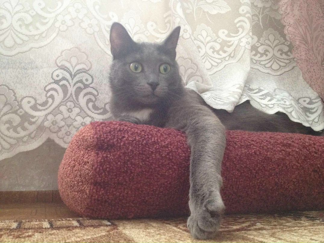 Александра Рысикова | Красноярск