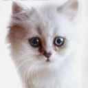 Катерина Полубинская | Москва