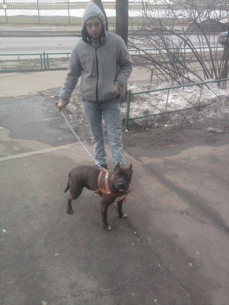 Серёжа Васильченко | Москва