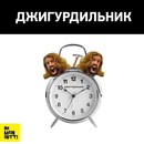 Виолетта Добкович, Санкт-Петербург, Россия, 07.11