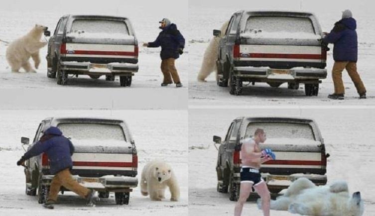 Сергей Полетыкин | 