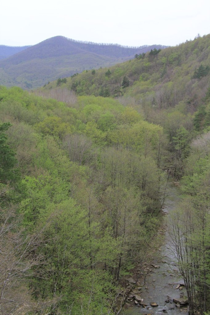 Aleksandr Kasatkin | Краснодар