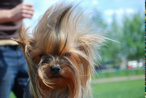 №96, Слава Панова №96, Слава Панова