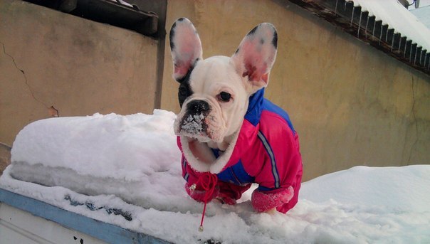 Александр Александров | Донецк