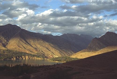 Виктория Дмитриева | Санкт-Петербург