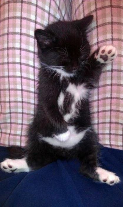 Никита Храбров | 