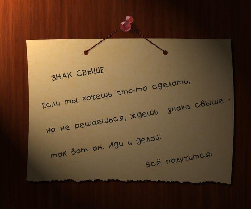 Анастасия Найер | Владимир