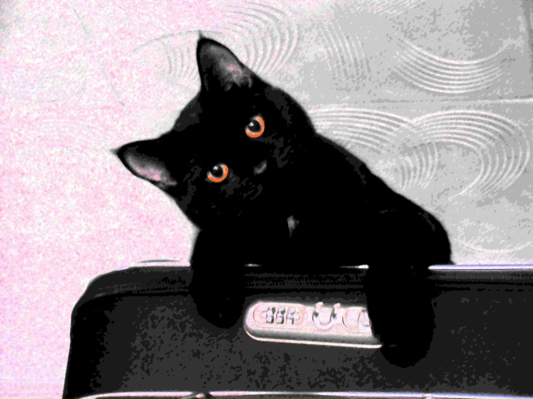 Наталья Степанова ♥ ♥ ♡ K И $ A♡ ♥ ♥ | Санкт-Петербург