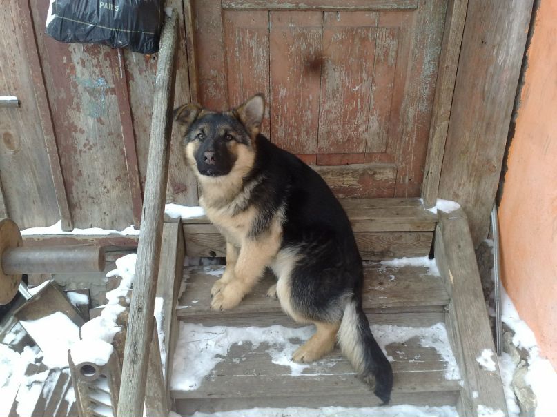 Юрий Дубов | Озёры