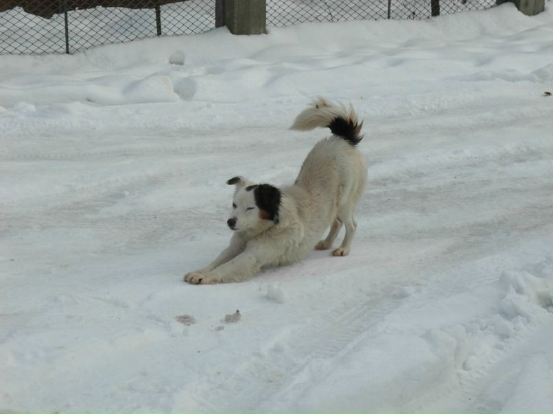 Алина Кундукова | Киев