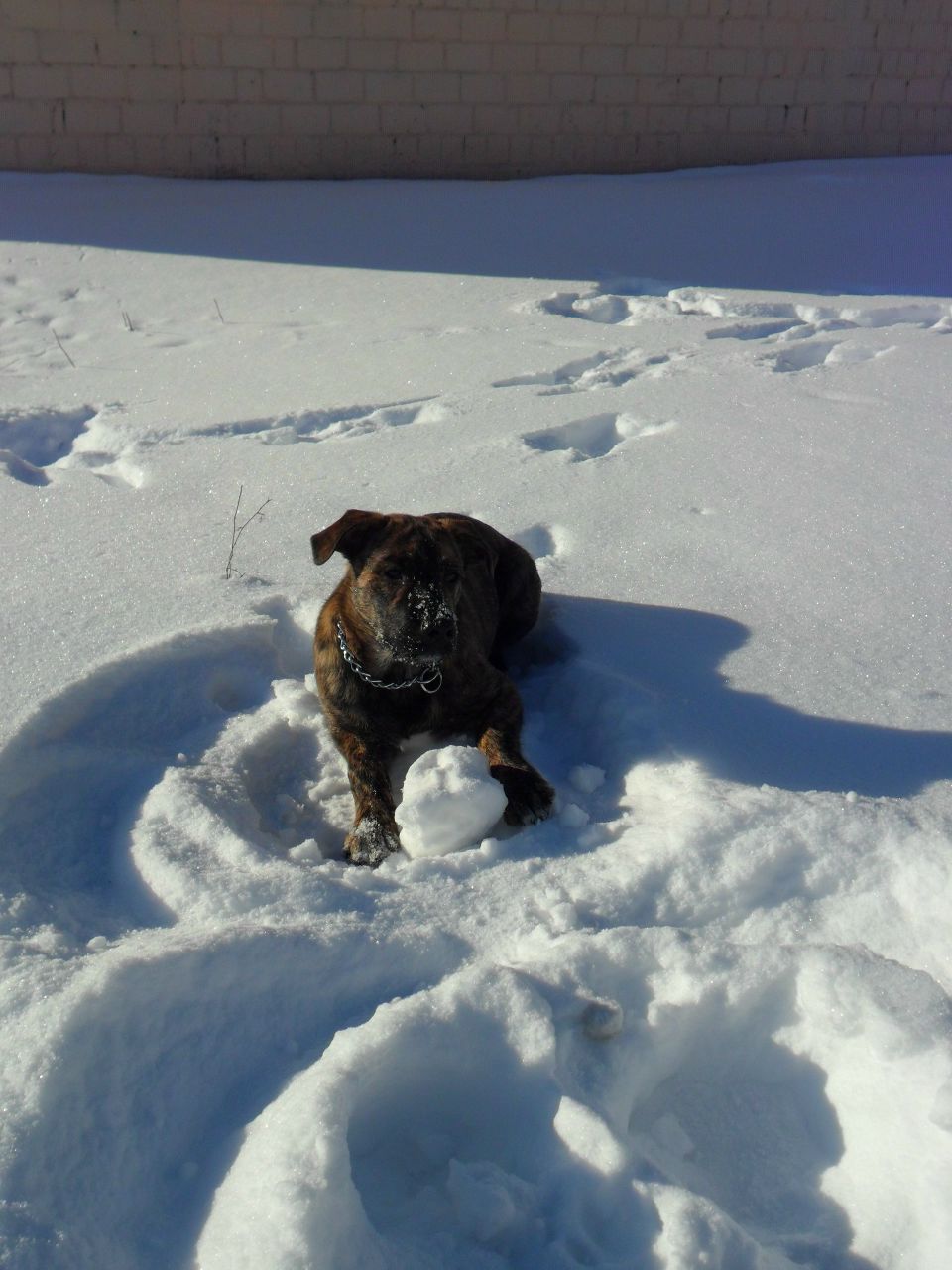 Александр Колодей 웃♥유 | Жлобин