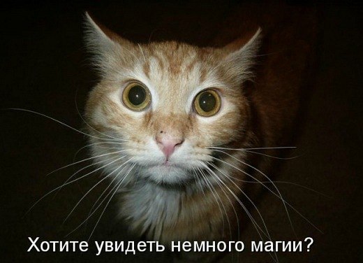 Мария Моисейчева | Киев