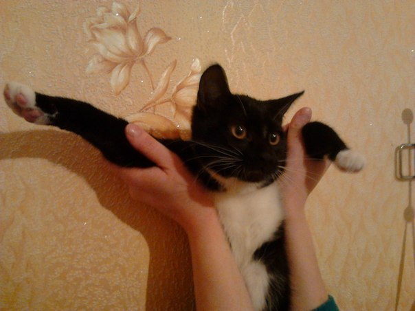 Лена Прокопчук | Киев