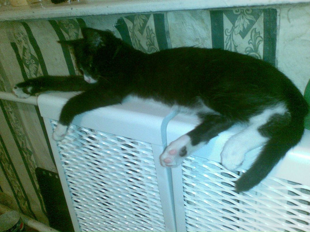 Инна Полфёрова | Фрязино