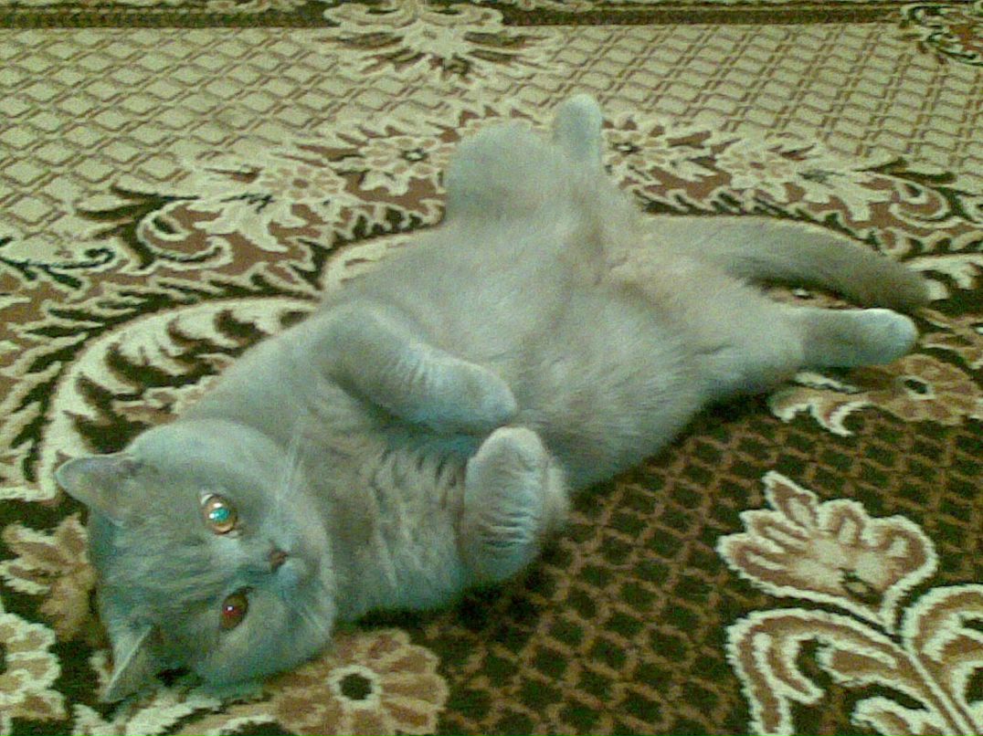 Инна Полфёрова | Фрязино