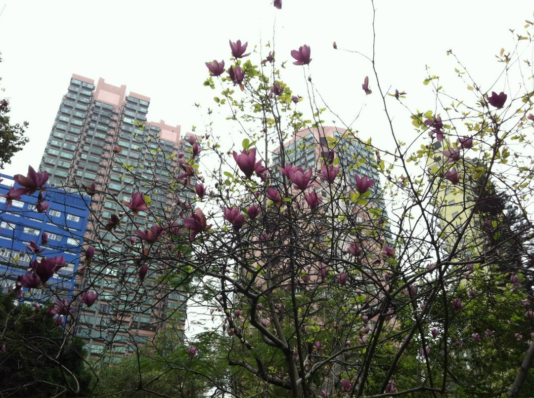 Оксана Драгун | 