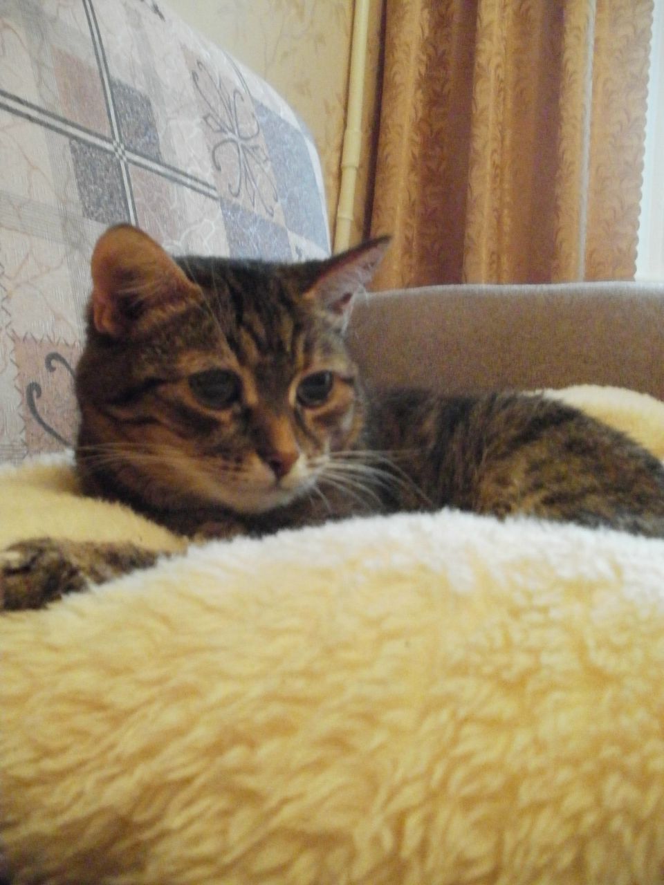 Тетяна Добридень * | 