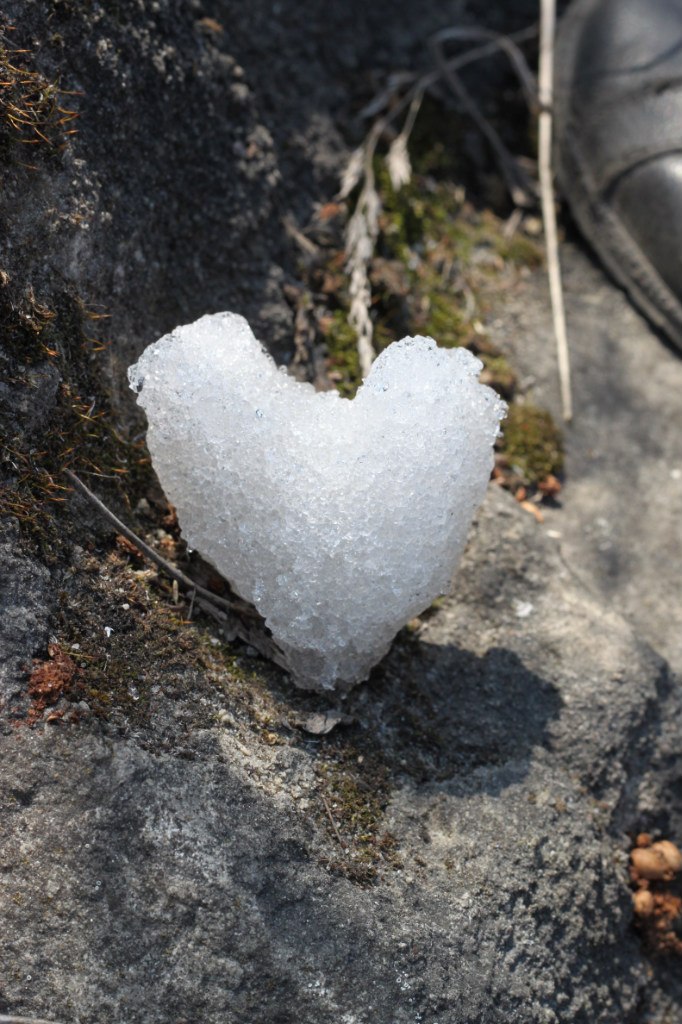 Танюшка Ціммерман | Błonie