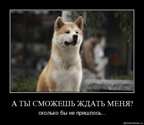 Ринат Хакимов | Стерлитамак (деревня)