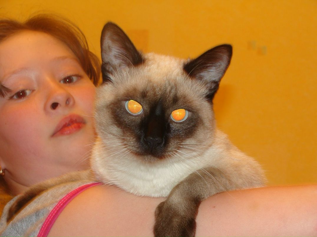 Демьян Цай | Можайск