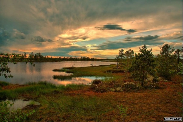 №115, Марина Терских, Омск №115, Марина Терских, Омск