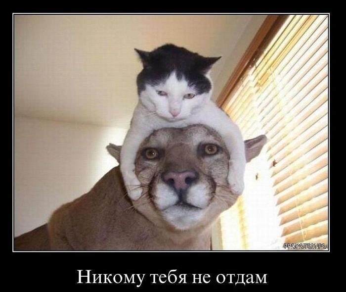 Олег Калита | Донецк