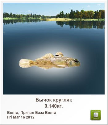 Андрій Чечель | Ивано-Франковск