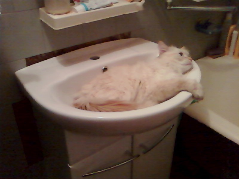 Катерина Чуваева | Великие Луки