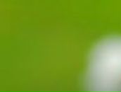 Светлана Черняева | Екатеринбург