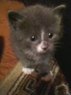 Екатерина Качалова Александровна | Галич