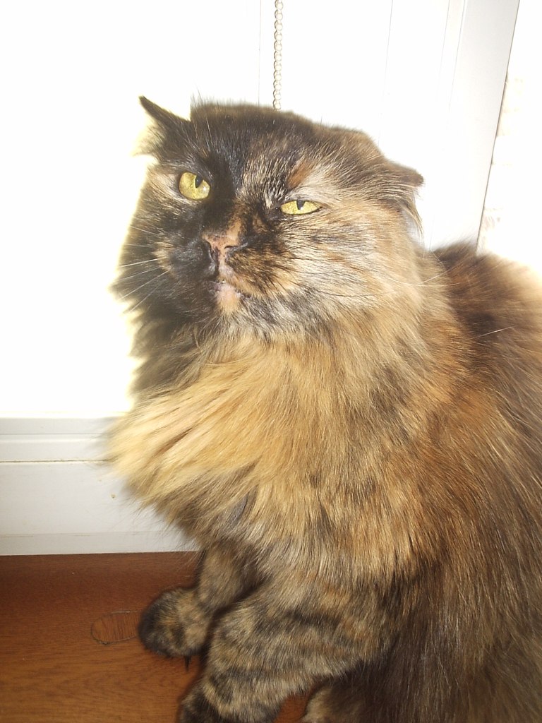 Илья Быхун | Одесса