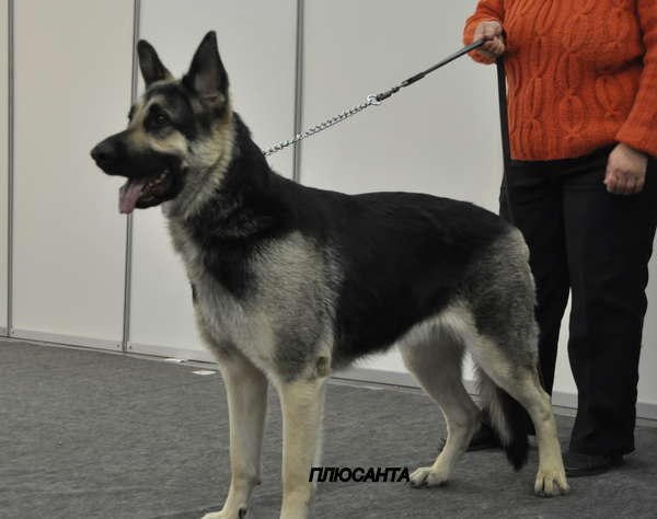 Анна Беляева | Санкт-Петербург