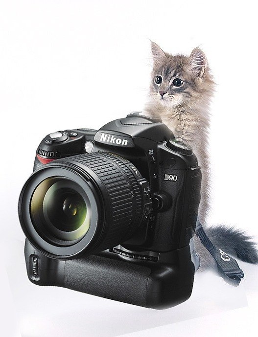 Александр Кирюхин | Орёл